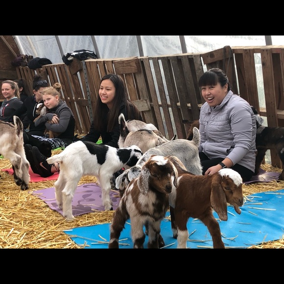 Meet your Posher, Jayne - Picture 2 of 8